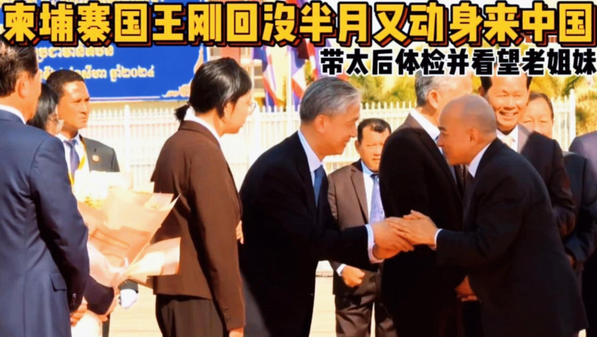 4949澳门精准免费大全小说,melody谈大S去世哽咽,准确资料解释落实_AndroidV2.94
