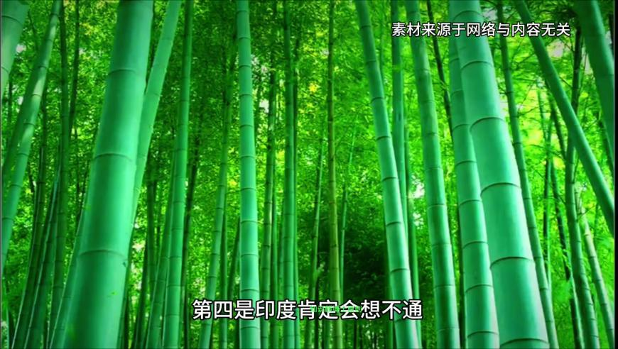 8425金钱豹免费开奖记录,陈赫直播被鹿晗关晓彤分手了吗刷屏,成语解释落实可能存在的问题_影像版V2.16