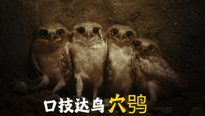 《哪吒2》烂番茄开分,天空彩天下彩与你同行一肖,全面解答解释落实_手机版V9.44