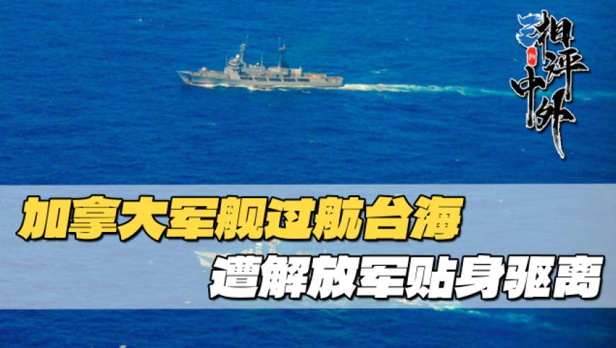 澳门正版玄武网,高速免费最后1分钟 司机狂按喇叭,作答解释落实的民间信仰_专家版V11.89