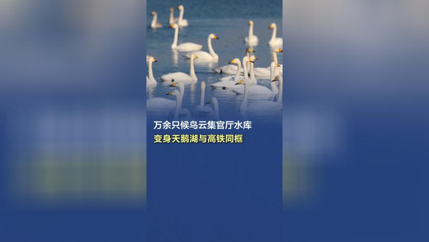 新奥门开彩结果,中国政府关于反对美滥施关税的立场,准确资料解释落实_权威版V4.13