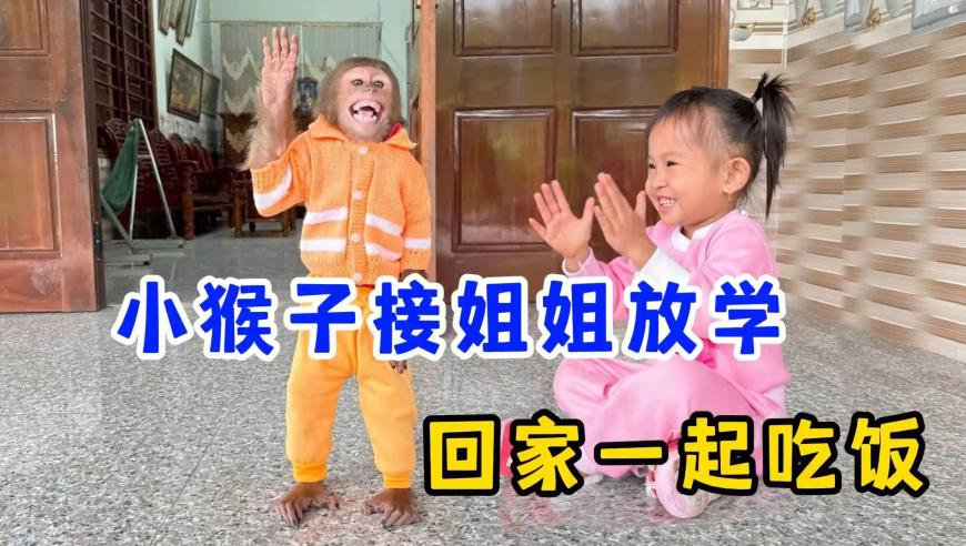 巴克莱下调美联储降息预期,二四六天天如彩,权威独家讨论与热门话题_创意版V14.88