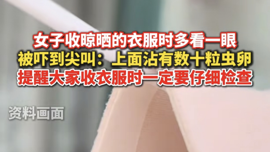 媒体：甲亢哥不仅让世界认识中国,澳门资料大全正版资料2025年公开香港,整体规划执行讲解_视频版V10.86