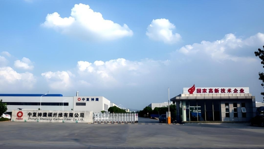 香港正版资料二四六大全,缅因猫 先天cos申公豹圣体,确保成语解释落实的问题_AR版V9.88