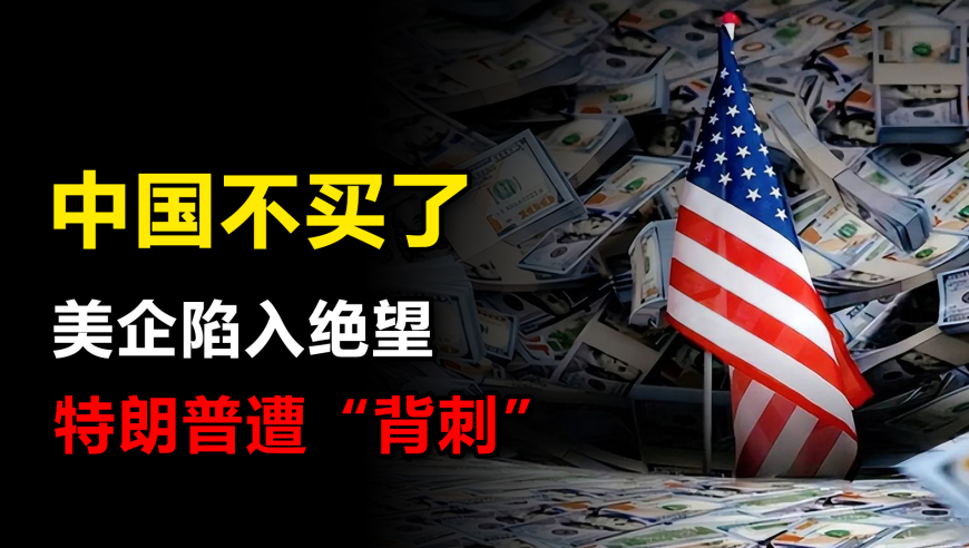 今天澳门六下彩开奖结果,千万网红刀小刀被警察带走调查,经济性执行方案剖析_交互版V13.87